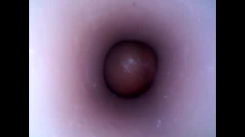 Snapshot of hardhammerboy chatting on January 13, 5:44 pm hardhammerboy online show from January 13, 5:44 pm