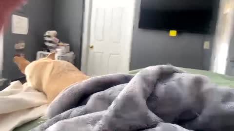 Snapshot of hardnthickm55 chatting on January 17, 4:04 pm hardnthickm55 online show from January 17, 4:04 pm