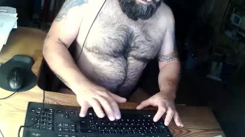 Snapshot of harleywerner chatting on October 13, 5:18 am harleywerner online show from October 13, 5:18 am