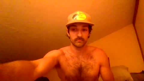 Snapshot of harrycheeks chatting on June 29, 6:41 am harrycheeks online show from June 29, 6:41 am