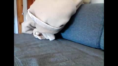 havier282874 online show from May 22, 8:53 am