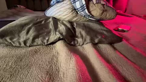 Amber  -   or vip  online show from February 14, 11:51 am