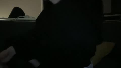 Snapshot of hchappel19 chatting on October 1, 8:15 pm hchappel19 online show from October 1, 8:15 pm