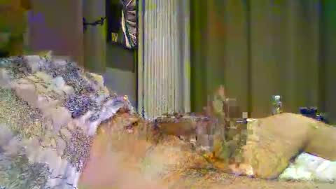 heddamedda59 online show from April 3, 4:16 pm