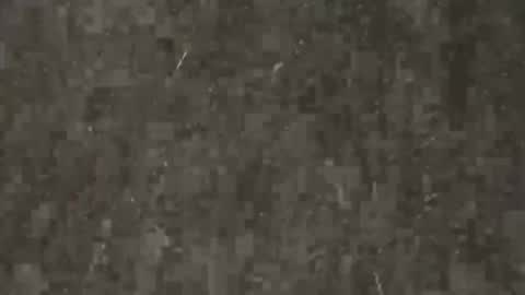 heering77 online show from July 17, 2:34 pm