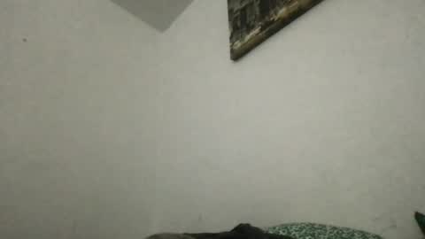 Thisisheff online show from June 20, 3:42 am