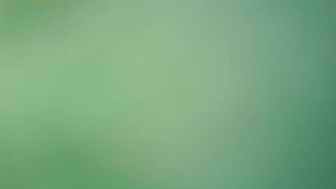 hello_night online show from July 27, 8:16 pm