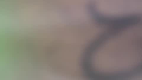 hellohowareyou66 online show from November 29, 6:11 pm