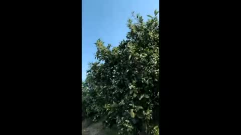 heterooli online show from March 29, 4:29 pm