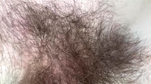 Arnold online show from February 7, 9:15 pm