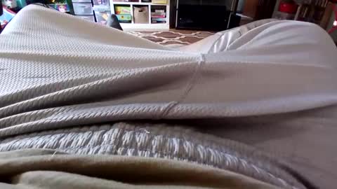 holycannoli123 online show from October 15, 1:22 pm