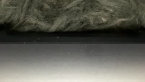 Snapshot of hoodiesahdgoodies chatting on February 23, 5:38 am D online show from February 23, 5:38 am