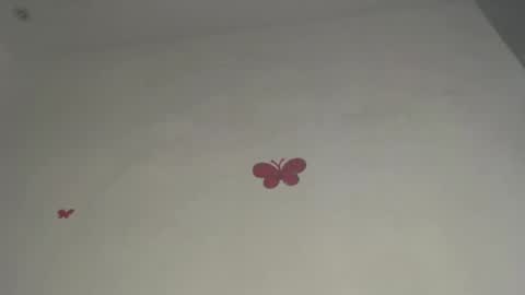 Iris online show from March 9, 8:02 pm