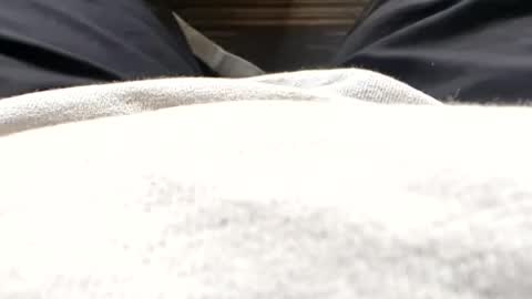 Tiny cock online show from July 15, 11:37 am