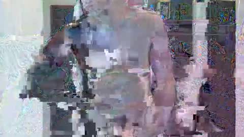 Snapshot of hornygringo123 chatting on November 22, 3:27 am HornyGringo online show from November 22, 3:27 am