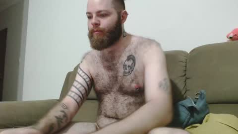 Snapshot of hornyhairy_bi chatting on February 5, 12:20 am Harry online show from February 5, 12:20 am