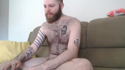 Snapshot of hornyhairy_bi chatting on February 5, 3:20 pm Harry online show from February 5, 3:20 pm