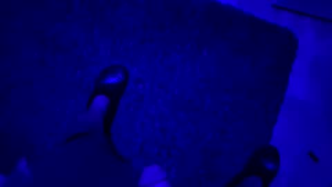 hornystroker21 online show from October 19, 2:01 am