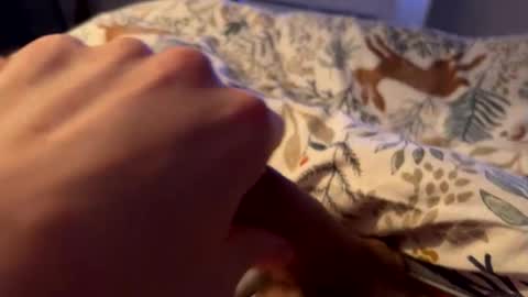 hot_for_you_ online show from February 26, 2:10 am