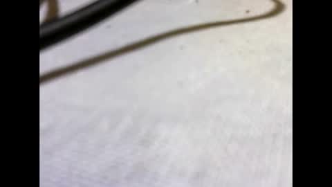 HottestPiny29 online show from May 26, 4:03 pm
