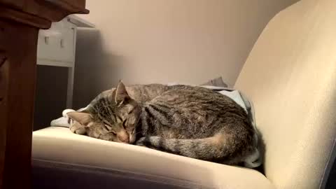 hottiewithabody101 online show from February 11, 2:44 pm