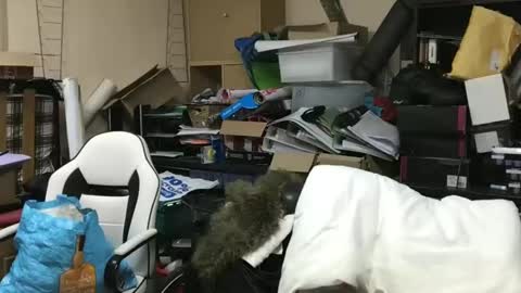 howsthat2024 online show from January 18, 8:30 pm