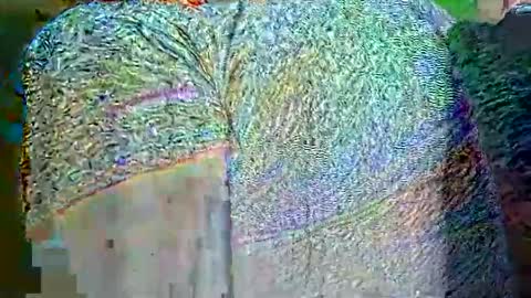 hp58649blabla online show from September 25, 9:02 am