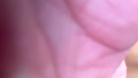 Snapshot of htwnswangn9 chatting on March 3, 4:07 am htwnswangn9 online show from March 3, 4:07 am