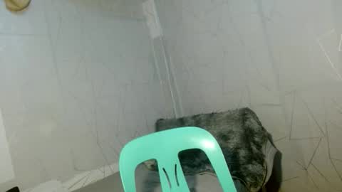 Cara online show from April 12, 9:03 am