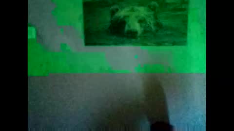 Snapshot of huidos2006 chatting on November 11, 2:22 am huidos2006 online show from November 11, 2:22 am