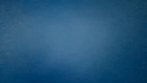 hummelbummel00 online show from February 14, 6:26 pm