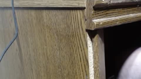 Snapshot of hungsofine chatting on December 26, 7:27 pm hungsofine online show from December 26, 7:27 pm