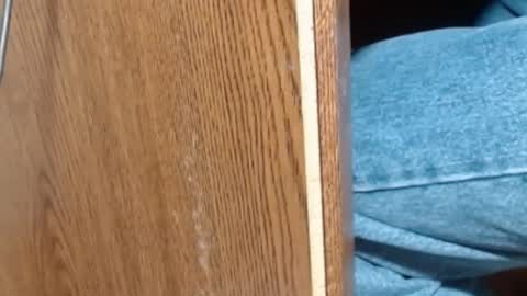 Snapshot of hungsofine chatting on January 8, 6:52 pm hungsofine online show from January 8, 6:52 pm