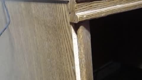 Snapshot of hungsofine chatting on February 19, 6:54 pm hungsofine online show from February 19, 6:54 pm