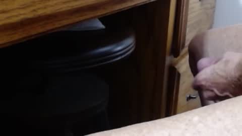 hungsofine online show from January 11, 7:30 pm