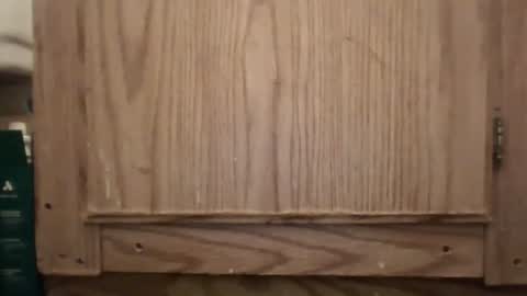 Hybrid Lover419 online show from February 13, 5:36 am