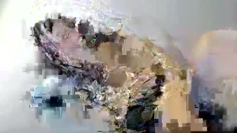 Snapshot of i_love_eula chatting on February 12, 1:59 pm cant get you out of my head online show from February 12, 1:59 pm