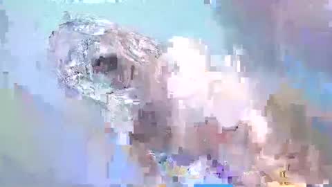 Snapshot of i_love_eula chatting on February 15, 2:22 pm cant get you out of my head online show from February 15, 2:22 pm