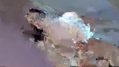 Snapshot of i_love_eula chatting on September 12, 12:33 am cant get you out of my head online show from September 12, 12:33 am