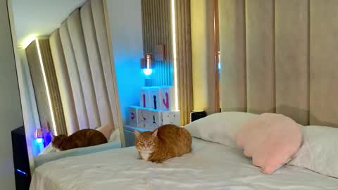 Nyxy online show from November 11, 9:09 am