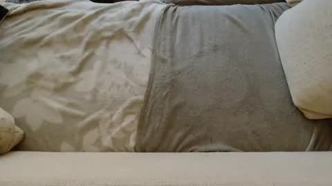 Snapshot of ich_hh chatting on January 24, 11:04 am SnowTiger online show from January 24, 11:04 am