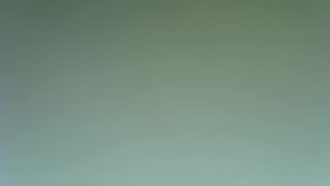 idkwhattowatch online show from December 23, 9:08 pm