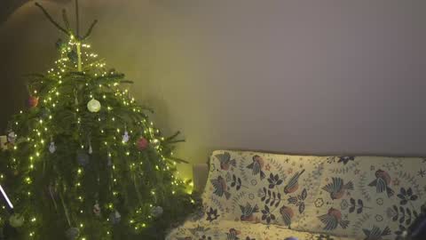 Snapshot of ifyouleave chatting on January 4, 4:11 pm Belle online show from January 4, 4:11 pm