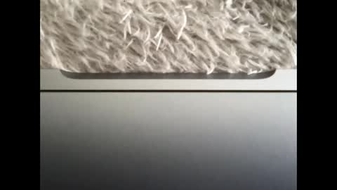 Snapshot of ijaisi chatting on September 14, 1:43 pm Morvoys online show from September 14, 1:43 pm