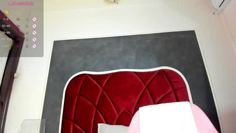 illegal_lorry online show from January 16, 10:53 am