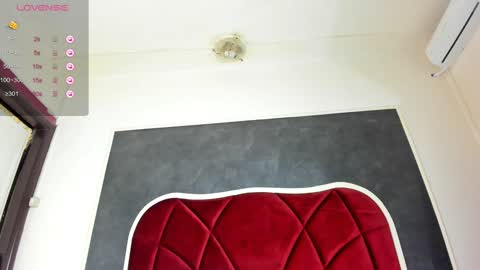 illegal_lorry online show from January 17, 8:02 am