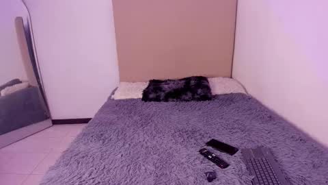 Perseo - Help me with 50 thumbs up online show from February 26, 7:46 pm