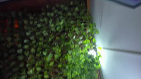 im_xandersmith online show from May 26, 8:38 pm