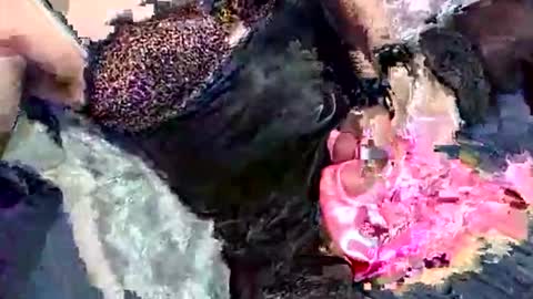 Snapshot of imabigolperv chatting on March 2, 2:03 am imabigolperv online show from March 2, 2:03 am