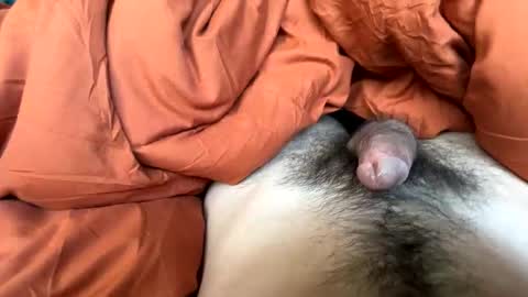 Snapshot of imakeucumonmyface chatting on February 25, 9:24 pm imakeucumonmyface online show from February 25, 9:24 pm